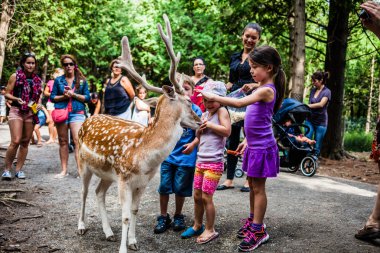Editörden - 29 Temmuz 2014 Parc Safari, Quebec, Kanada bir b