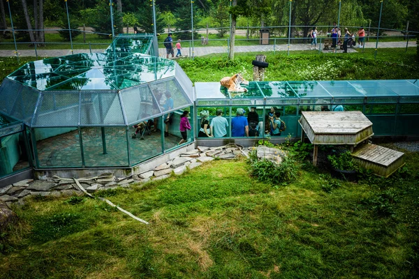 Editorial - July 29, 2014 at Parc Safari, Quebec , Canada on a b — Stock Photo, Image