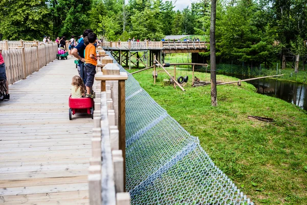 Editoriale - 29 luglio 2014 a Parc Safari, Quebec, Canada su un b — Foto Stock