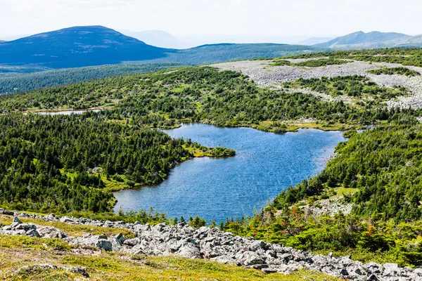 Uitzicht vanaf de Mont Jacques-Cartier — Stockfoto