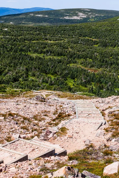 Uitzicht vanaf de Mont Jacques-Cartier — Stockfoto