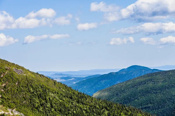 Uitzicht vanaf de Mont Jacques-Cartier — Stockfoto