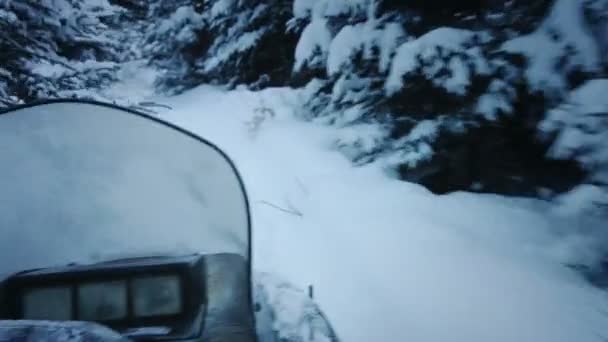 Vrouw op sneeuwscooter in bos — Stockvideo
