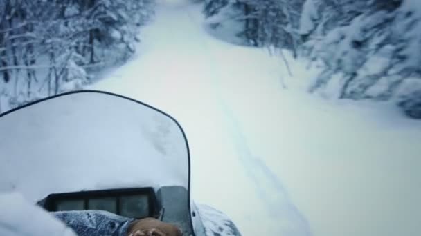 Žena na sněžném skútru v lese — Stock video
