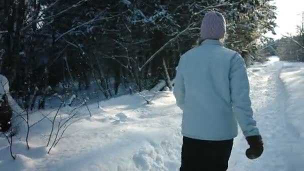 Mujer caminando en el bosque — Vídeos de Stock