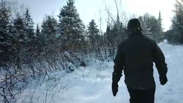 Homem caminhando na floresta — Vídeo de Stock