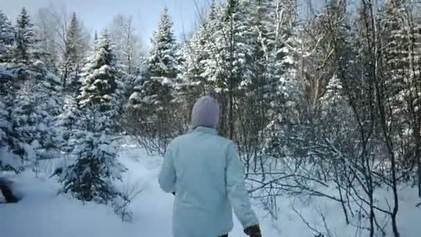 Egy nő sétál az erdőben — Stock videók
