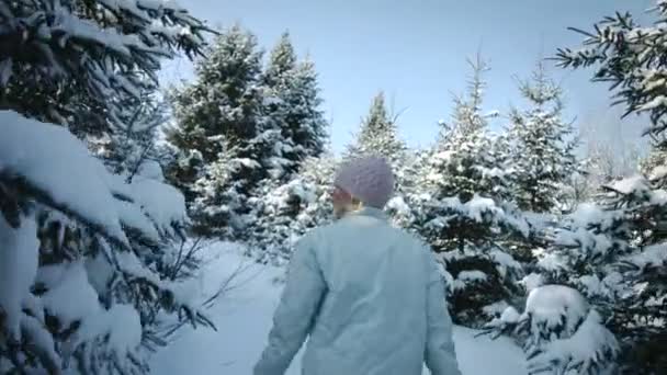 Egy nő sétál az erdőben — Stock videók