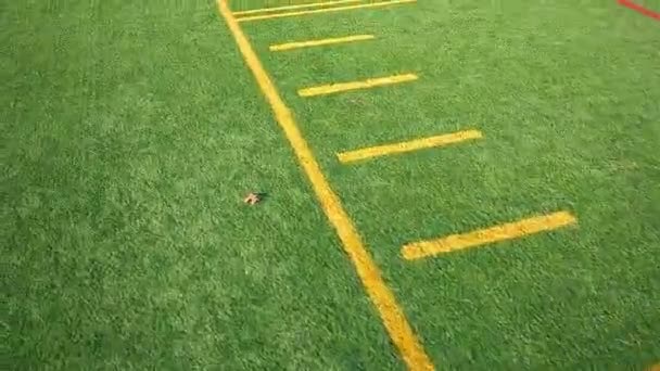 Synthetic Football Field — Stock Video