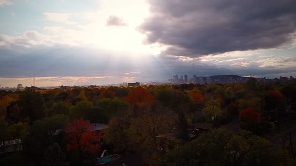 Montreal és a gyönyörű fák — Stock videók