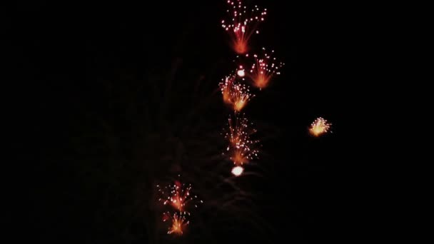 Celebración y explosiones de fuegos artificiales — Vídeos de Stock