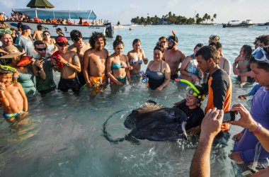 İnsanlar çok dokunaklı bir Stingray sığ suda