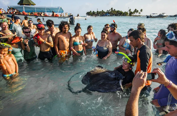 People Touching a Stingray in shallow water — Stock Photo, Image