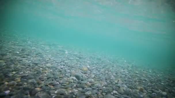 Bajo el agua Clear River Bottom — Vídeo de stock