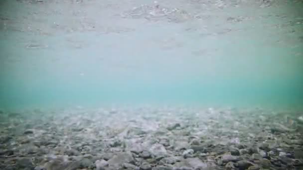 Underwater Clear flodens botten — Stockvideo