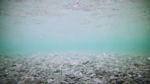 Bajo el agua Clear River Bottom — Vídeo de stock