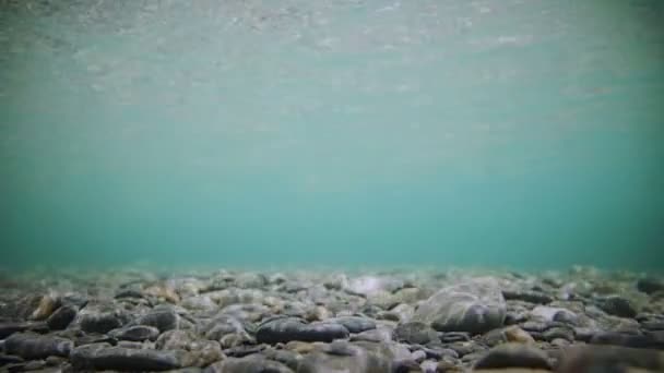 Bajo el agua Clear River Bottom — Vídeo de stock