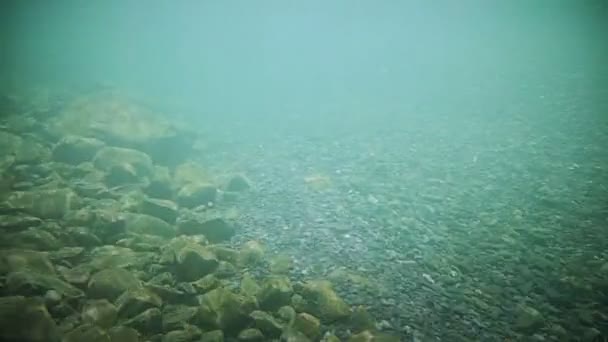 Unterwasserklarer Flussgrund — Stockvideo