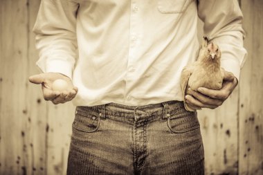 Paradox tavuk ve yumurta