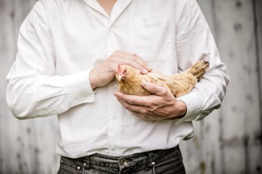 Bej bir tavuk tutan çiftçi