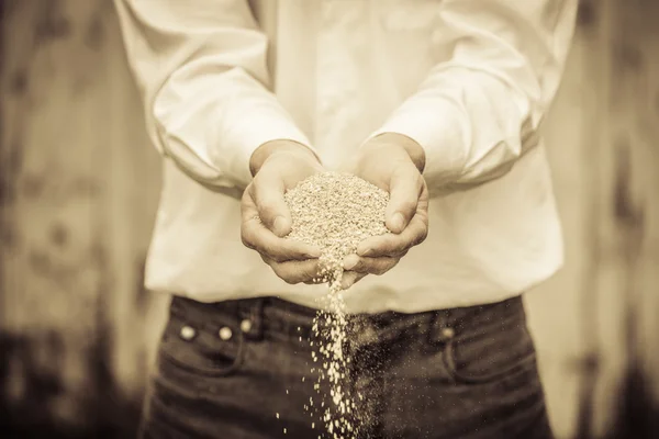 Agricultor Mostrando Alimentos Secos Animales — Foto de Stock