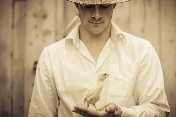 Agricultor sosteniendo un bebé pavo —  Fotos de Stock