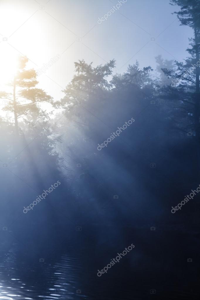 Calm Foggy Lake in the Morning