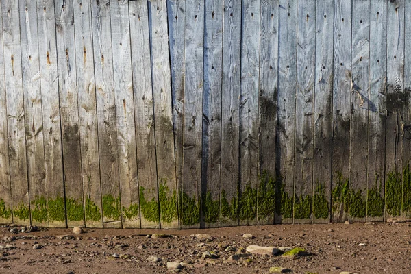 Alte fleckige Holzplanke Wand — Stockfoto