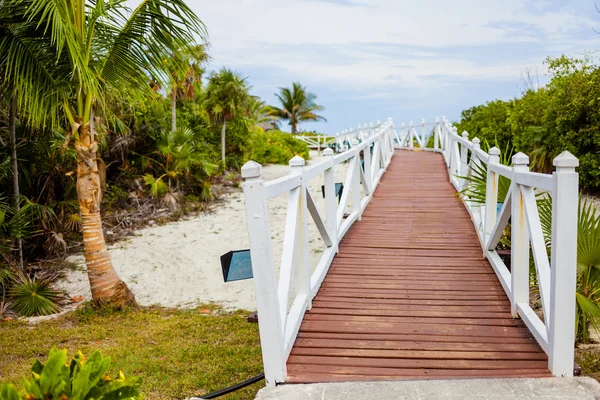 Romantischer Fußweg zum Strand — Stockfoto