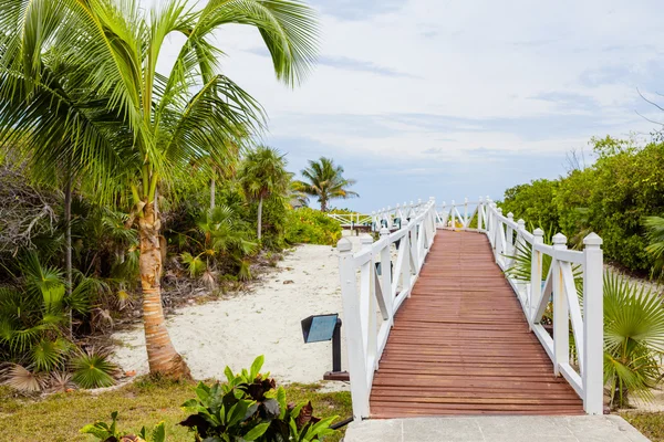 Plaja gitmek için romantik geçit