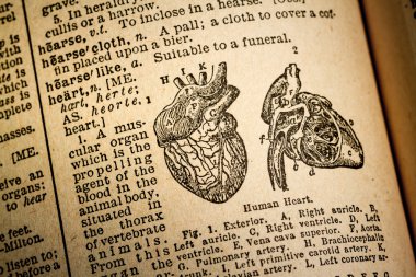 Illustration and Definition of the word hearth.