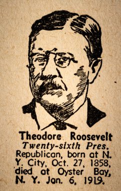 Theodore Roosevelt the 26th President of the United State of Ame