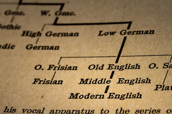 Explanation of the Evolution of English Language from Indo-Europ — Φωτογραφία Αρχείου