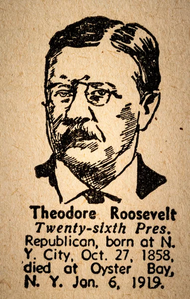 Theodore Roosevelt le 26ème Président des Etats-Unis d'Amérique — Photo