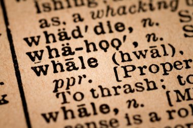 Close-up of an Opened Dictionary showing the Word WHALE