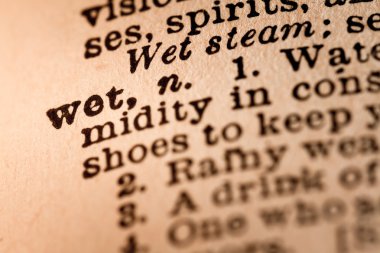 Close-up of an Opened Dictionary showing the Word WET