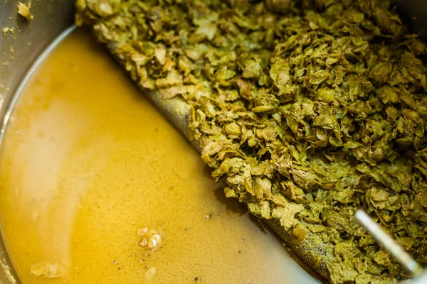 Left-Overs of Hops and Essential Oils of the mash into a Stock P — Stock Photo, Image