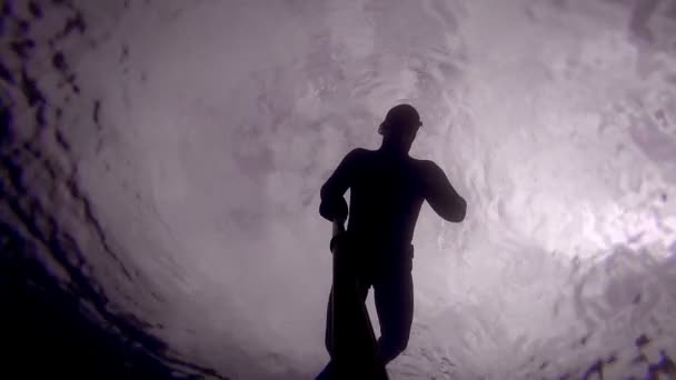 Velmi klidná volný potápěč dělá dech up před potápění — Stock video
