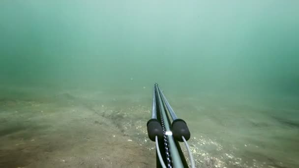 Freediver Tombak Memancing dan Melihat ikan kemudian menembak satu untuk makan malam — Stok Video