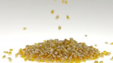 Beyaz yüzeye düşen 180 fps süper ağır çekim mısır tohumları