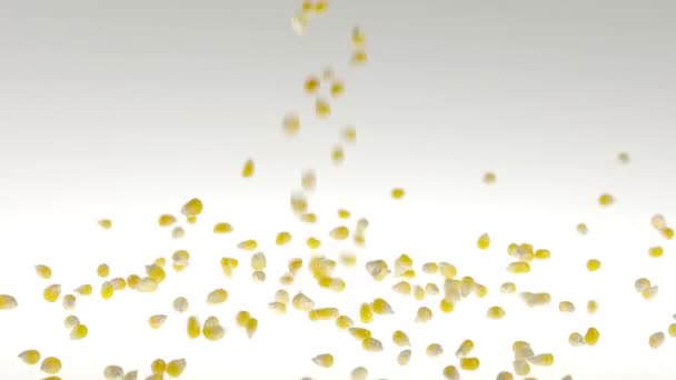 Семена кукурузы Super Slow Motion со скоростью 180 кадров в секунду падают на белую поверхность — стоковое видео