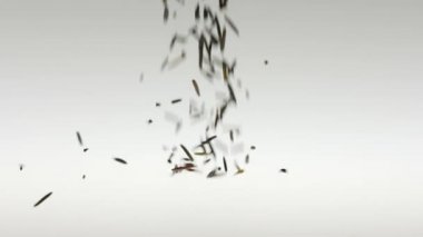 Beyaz yüzeye düşen 180 fps süper ağır çekim siyah pirinç tohumu