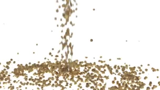 Super Slow Motion Coriander Falling on White Background — Stock Video