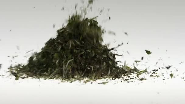 Super lent mouvement thé vert tombant sur fond blanc 