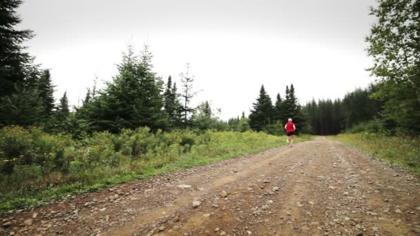 Женщина, бегущая одиноко по гравийной дороге — стоковое видео
