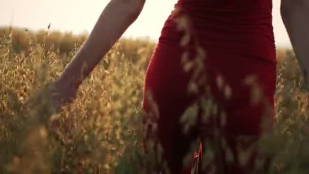 Vrouw genieten van een wandeling in een tarweveld — Stockvideo