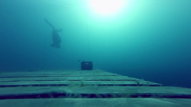 Bir balık ile eğleniyor Freediver — Stok video