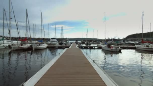 Caminhando em Marina Dock — Vídeo de Stock