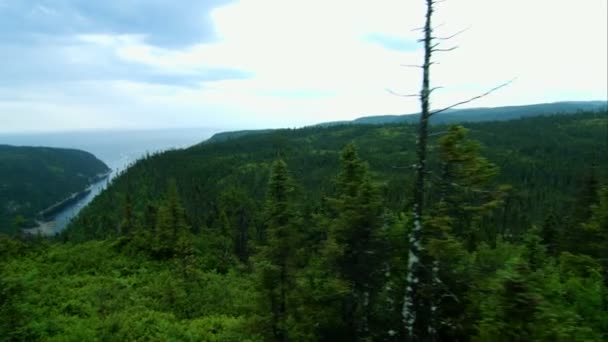 Camminare e muoversi Veduta della cima di una montagna — Video Stock