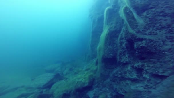 Freediver die een kant van een onderwater klif in een steengroeve verkent — Stockvideo